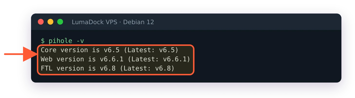 pihole -v: Core version v6.5, Web version v6.6.1, FTL version v6.8, each with the latest available version