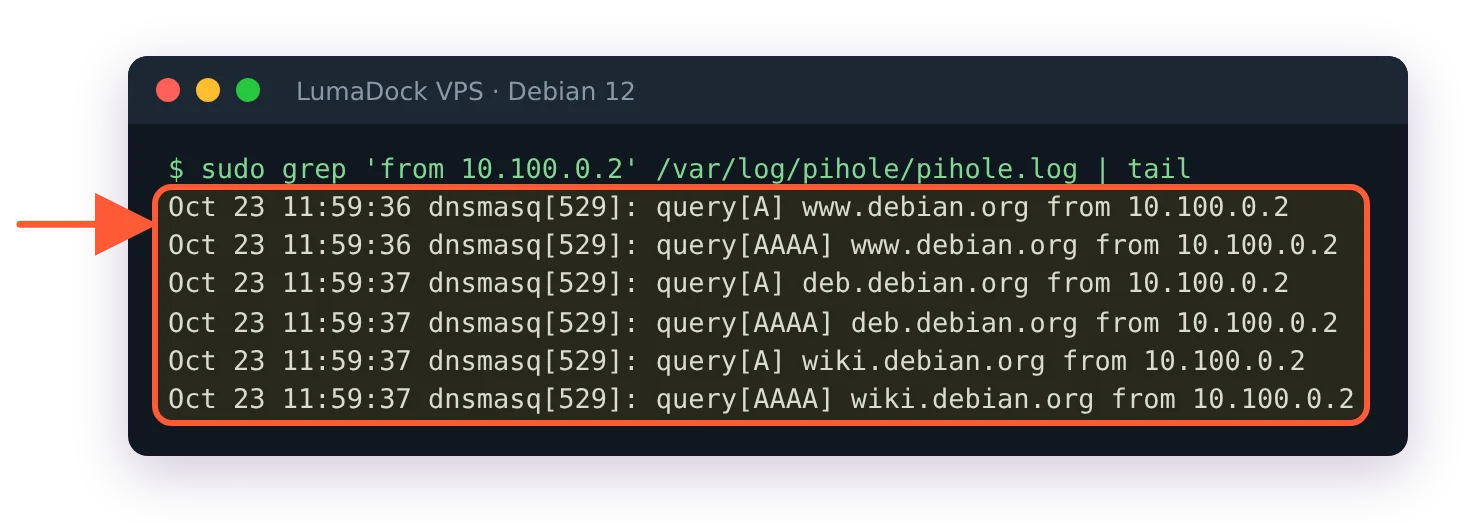 pihole.log showing A and AAAA queries for debian.org names from the tunnel client 10.100.0.2