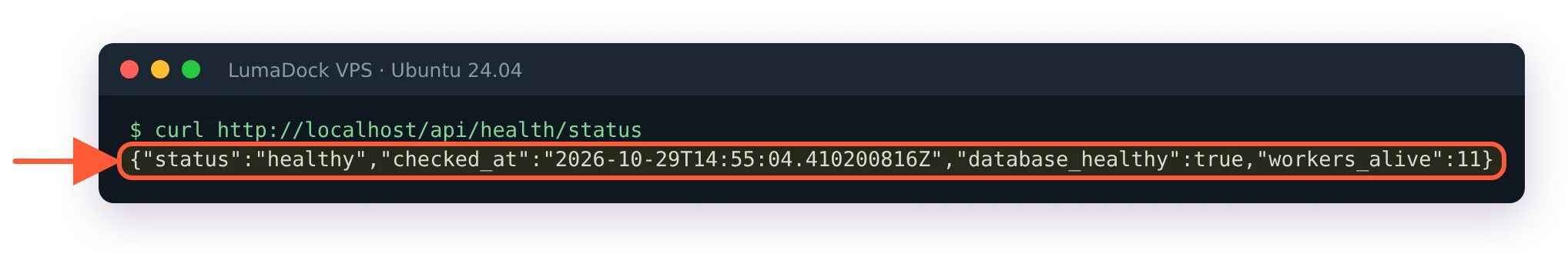 curl /api/health/status returns status healthy, database_healthy true, workers_alive 11