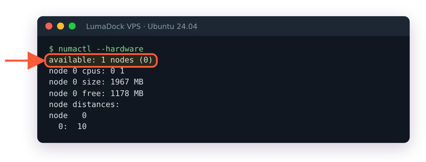 numactl --hardware on a VPS: available: 1 nodes (0), node 0 cpus 0 1